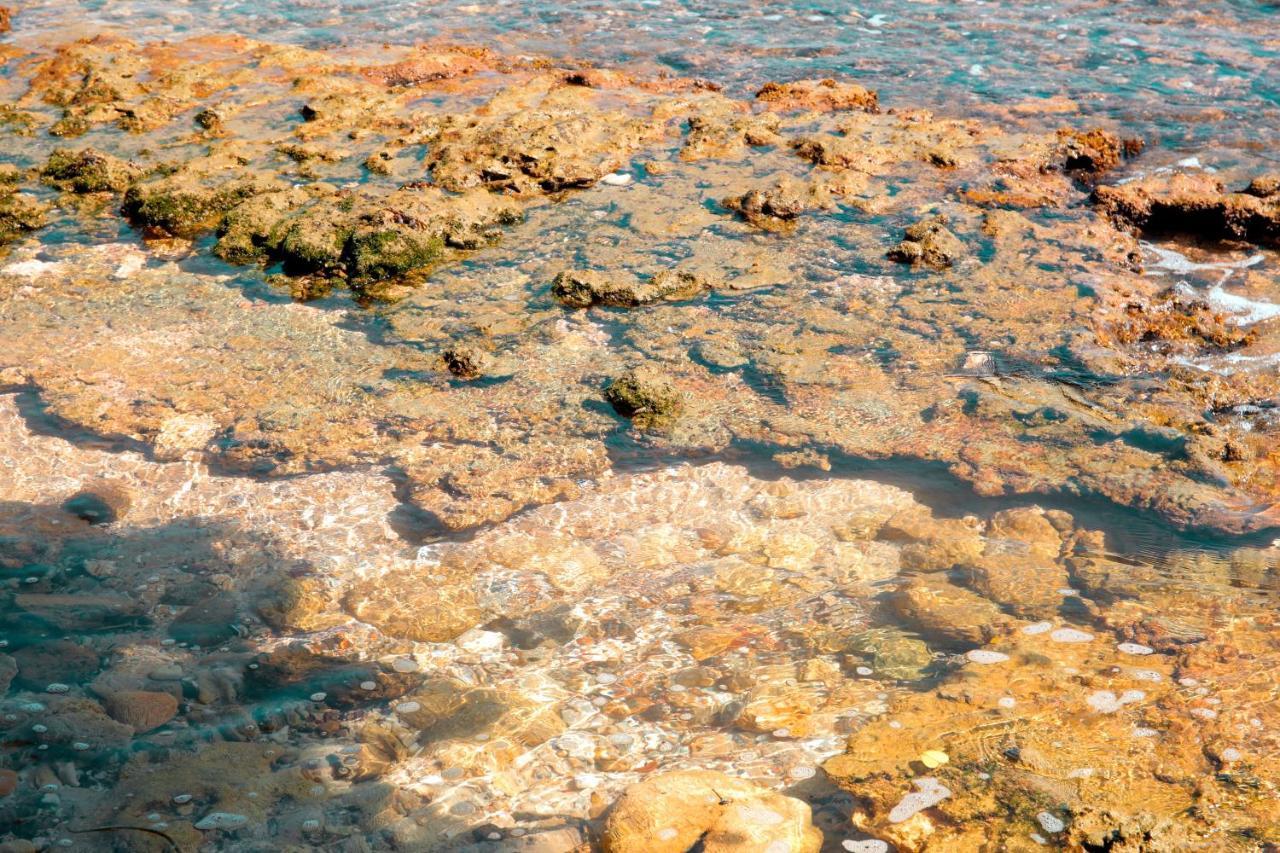 Pearl Mirissa Ξενοδοχείο Εξωτερικό φωτογραφία